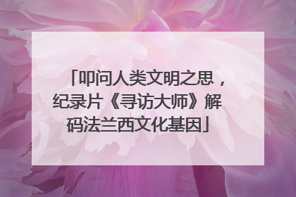叩问人类文明之思，纪录片《寻访大师》解码法兰西文化基因