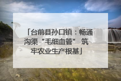 台前县孙口镇：畅通沟渠“毛细血管” 筑牢农业生产根基
