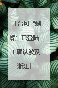 台风“蝴蝶”已登陆！确认波及浙江