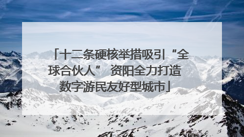 十二条硬核举措吸引“全球合伙人” 资阳全力打造数字游民友好型城市