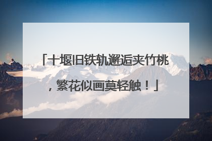 十堰旧铁轨邂逅夹竹桃，繁花似画莫轻触！