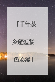 千年茶乡邂逅紫色浪漫