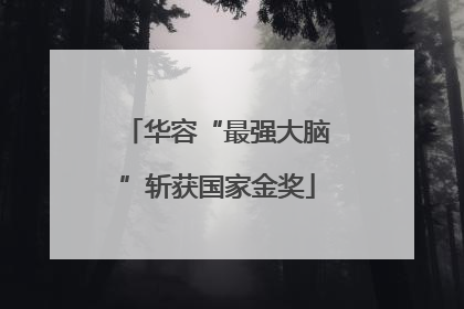 华容“最强大脑”斩获国家金奖