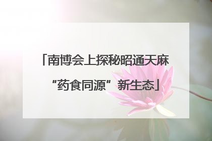 南博会上探秘昭通天麻“药食同源”新生态