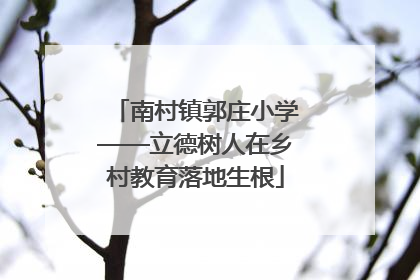 南村镇郭庄小学——立德树人在乡村教育落地生根