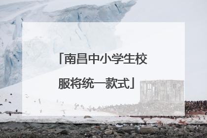 南昌中小学生校服将统一款式