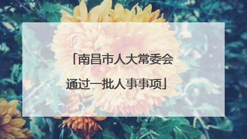 南昌市人大常委会通过一批人事事项