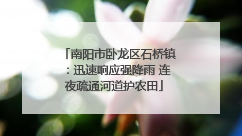 南阳市卧龙区石桥镇：迅速响应强降雨 连夜疏通河道护农田