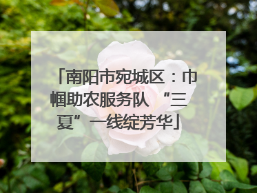 南阳市宛城区：巾帼助农服务队 “三夏”一线绽芳华