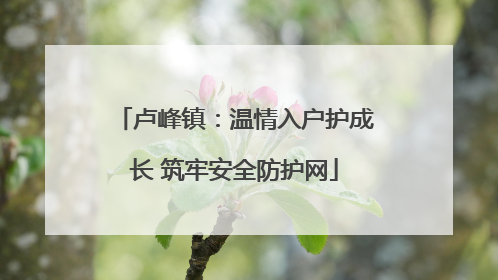 卢峰镇：温情入户护成长 筑牢安全防护网