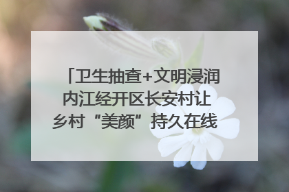 卫生抽查+文明浸润 内江经开区长安村让乡村“美颜”持久在线｜万千气象看四川