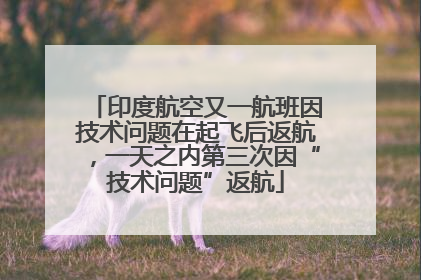印度航空又一航班因技术问题在起飞后返航，一天之内第三次因“技术问题”返航