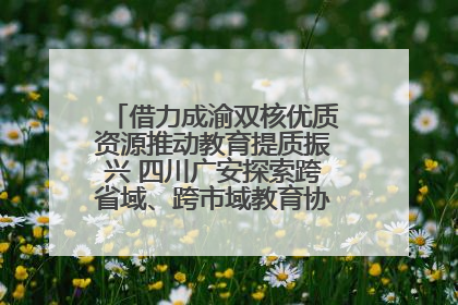 借力成渝双核优质资源推动教育提质振兴 四川广安探索跨省域、跨市域教育协同发展新路径