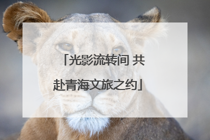 光影流转间 共赴青海文旅之约