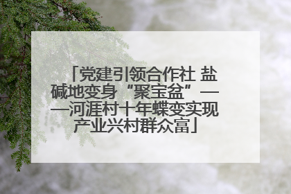 党建引领合作社 盐碱地变身“聚宝盆”——河涯村十年蝶变实现产业兴村群众富
