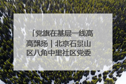 党旗在基层一线高高飘扬｜北京石景山区八角中里社区党委：用脚步丈量民生