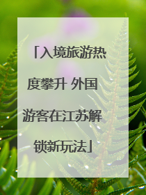 入境旅游热度攀升 外国游客在江苏解锁新玩法