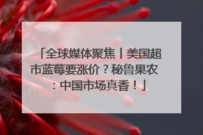 全球媒体聚焦丨美国超市蓝莓要涨价？秘鲁果农：中国市场真香！