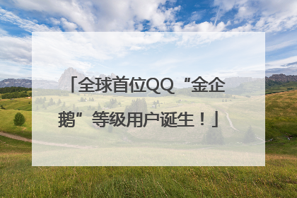 全球首位QQ“金企鹅”等级用户诞生！