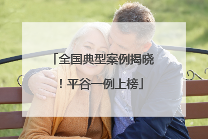 全国典型案例揭晓！平谷一例上榜