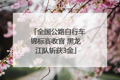 全国公路自行车锦标赛收官 黑龙江队斩获3金
