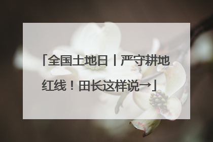 全国土地日丨严守耕地红线！田长这样说→