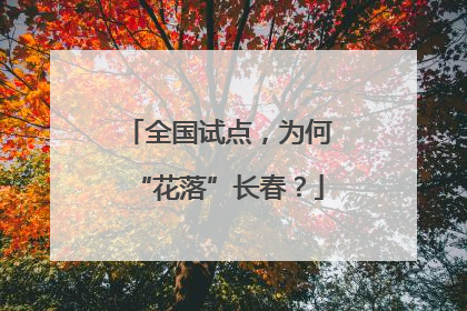 全国试点，为何“花落”长春？