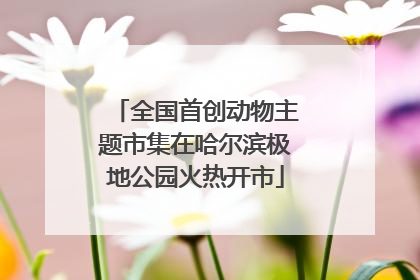 全国首创动物主题市集在哈尔滨极地公园火热开市
