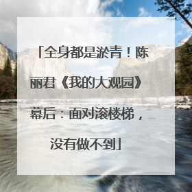 全身都是淤青！陈丽君《我的大观园》幕后：面对滚楼梯，没有做不到
