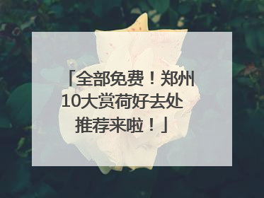 全部免费！郑州10大赏荷好去处推荐来啦！