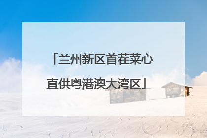兰州新区首茬菜心直供粤港澳大湾区
