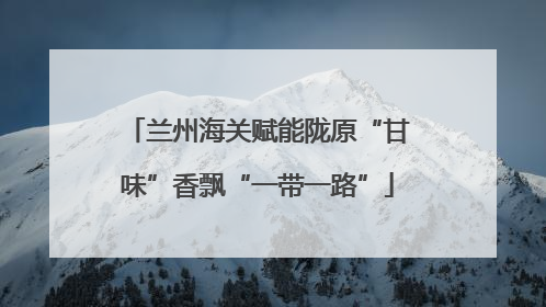 兰州海关赋能陇原“甘味”香飘“一带一路”