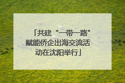 共建“一带一路”赋能侨企出海交流活动在沈阳举行
