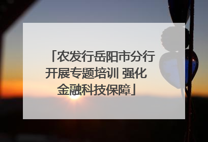 农发行岳阳市分行开展专题培训 强化金融科技保障