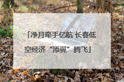 净月牵手亿航 长春低空经济“添翼”腾飞
