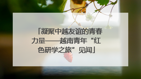 凝聚中越友谊的青春力量——越南青年“红色研学之旅”见闻