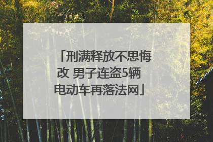 刑满释放不思悔改 男子连盗5辆电动车再落法网