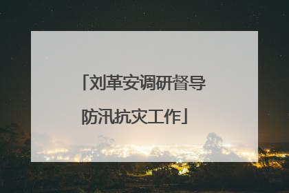 刘革安调研督导防汛抗灾工作