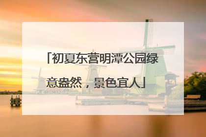 初夏东营明潭公园绿意盎然，景色宜人