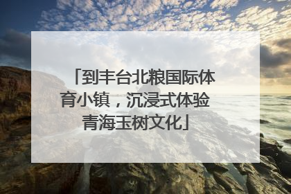 到丰台北粮国际体育小镇，沉浸式体验青海玉树文化