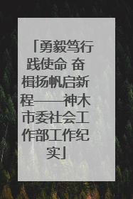 勇毅笃行践使命 奋楫扬帆启新程——神木市委社会工作部工作纪实