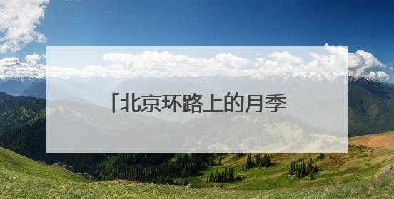 北京环路上的月季到底是谁在种？