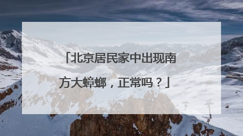 北京居民家中出现南方大蟑螂，正常吗？