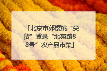 北京市郊樱桃“尖货”登录“北苑路88号”农产品市集