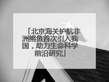 北京海关护航非洲鳉鱼首次引入我国，助力生命科学前沿研究