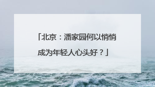 北京：潘家园何以悄悄成为年轻人心头好？