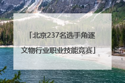 北京237名选手角逐文物行业职业技能竞赛