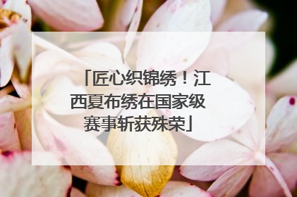匠心织锦绣！江西夏布绣在国家级赛事斩获殊荣