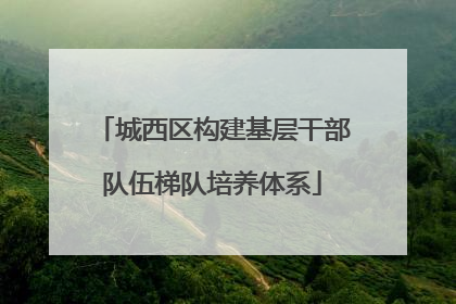 城西区构建基层干部队伍梯队培养体系