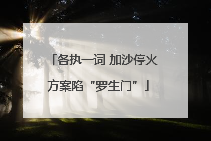 各执一词 加沙停火方案陷“罗生门”